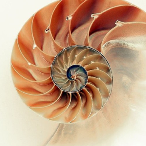 Spiraling steps along the way...